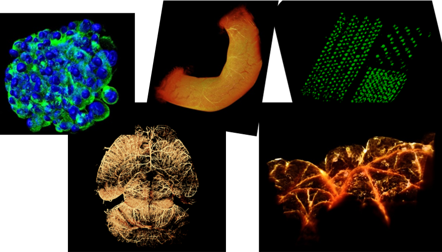 vizualization of available samples